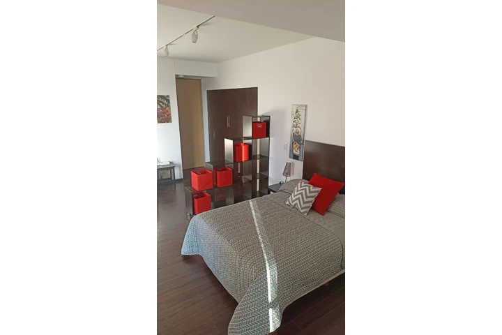 $12900 : LOFT AMUEBLADO EN RENTA ADAMAN image 3