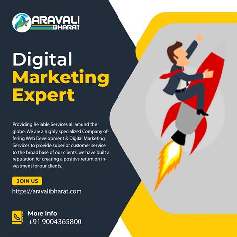Aravali Bharat - Digital Marke image 8
