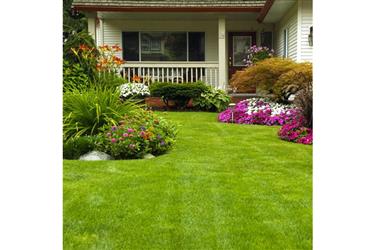 Jardinería en Inland Empire en San Bernardino