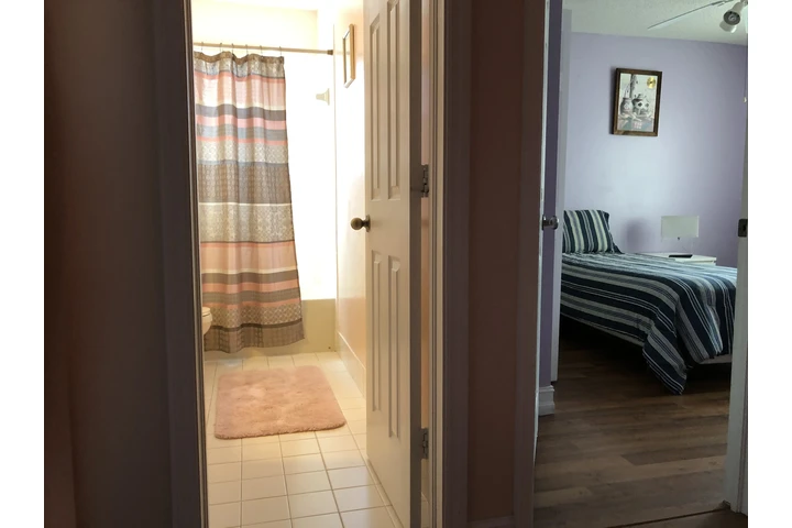 $800 : Renta para señora image 3