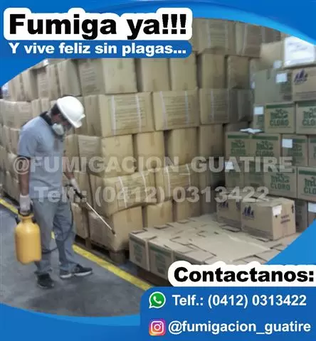 fumigacion caracas guarenas image 7