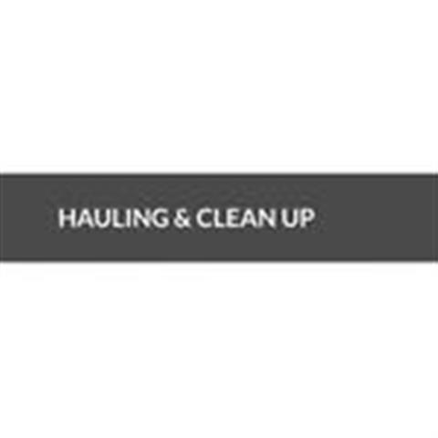 Hauling & Clean Up image 1