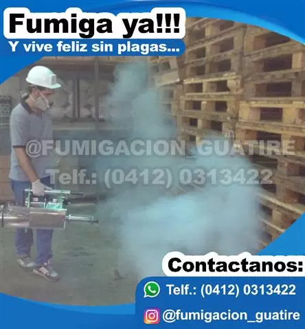 fumigacion caracas guarenas image 2