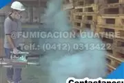 fumigacion caracas guarenas thumbnail