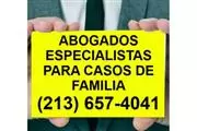 PROBLEMAS LEGALES CON SU EX ? en Los Angeles