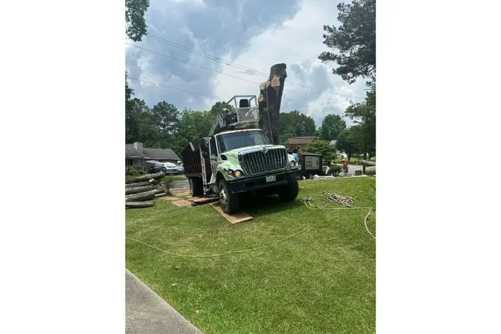 Mora's Tree Service LLC image 4