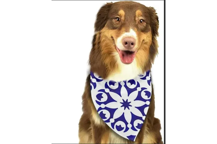 Oportunidad real para Groomer! image 3