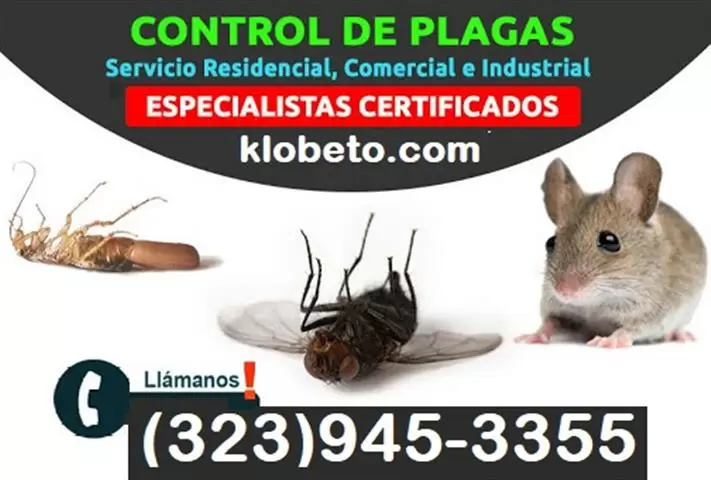 *TERMITE-PEST CONTROL SERVICE* image 6