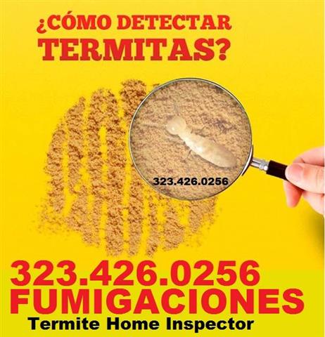 FUMIGADOR TERMITAS 24/7 ORANGE image 3