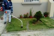 Mantenimiento de jardinería en Guayaquil