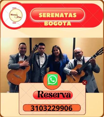 SERENATAS BOGOTA TRIOS image 3