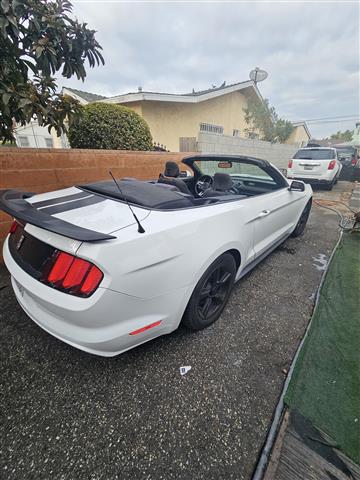 $13000 : Mustang convertible image 6