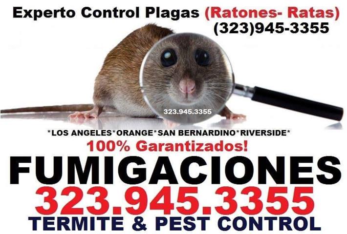 RODENT CONTROL (323)945-3355 image 9