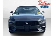 $34888 : Ford Mustang 2024 EcoBoost P thumbnail
