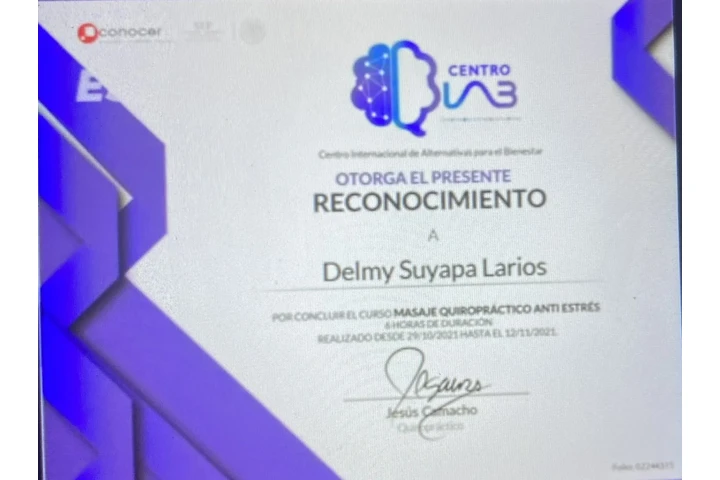 Terapista y Sobadora Delmy image 7