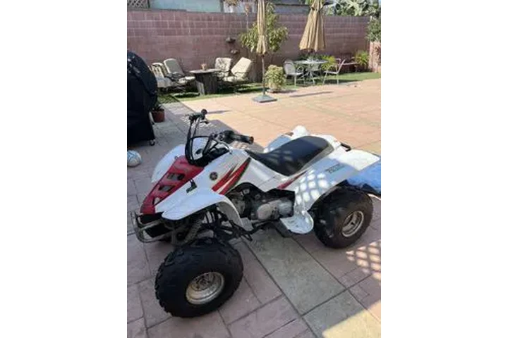 $1400 : Raptor 80 - 2005 image 2