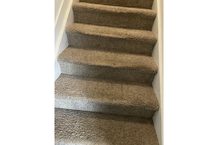 Carpet cleaning image 1