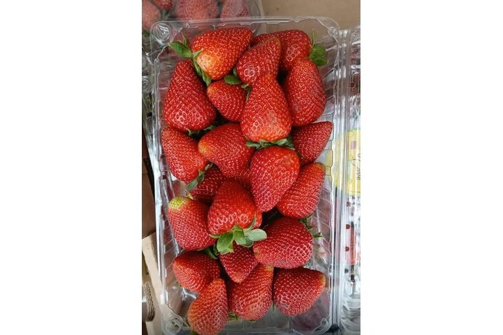 $123 : Ventas de frutas image 1