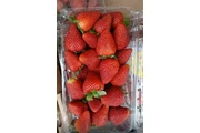 Ventas de frutas en Los Angeles