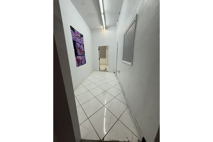 $6000 : Rento local comercial image 2