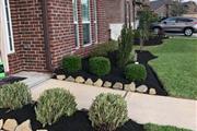 Meliton Landscaping and Tree S thumbnail 3