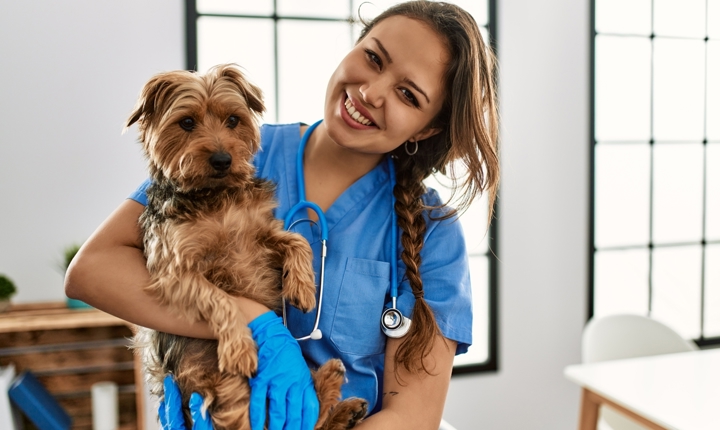 En Los Ángeles hay muchos veterinarios que hablan español