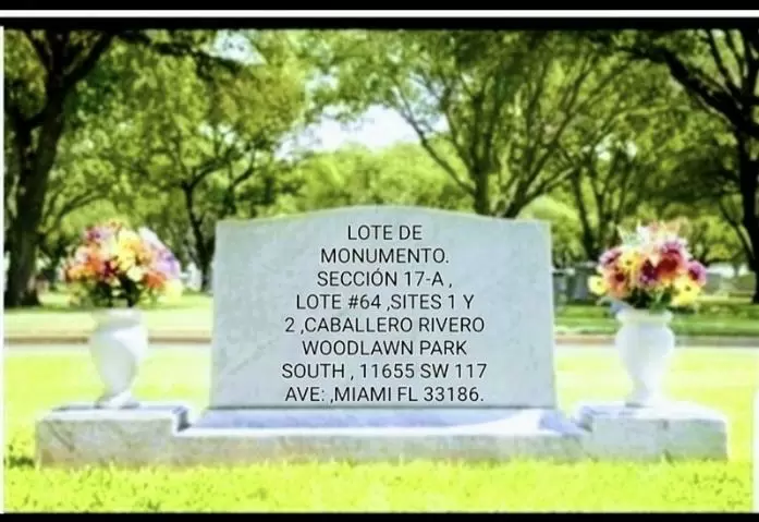 TERRENO MONUMENTO CABALLERO image 9