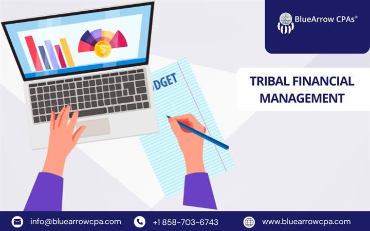 Tribal financial management image 1