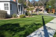 Installation of natural grass en Los Angeles