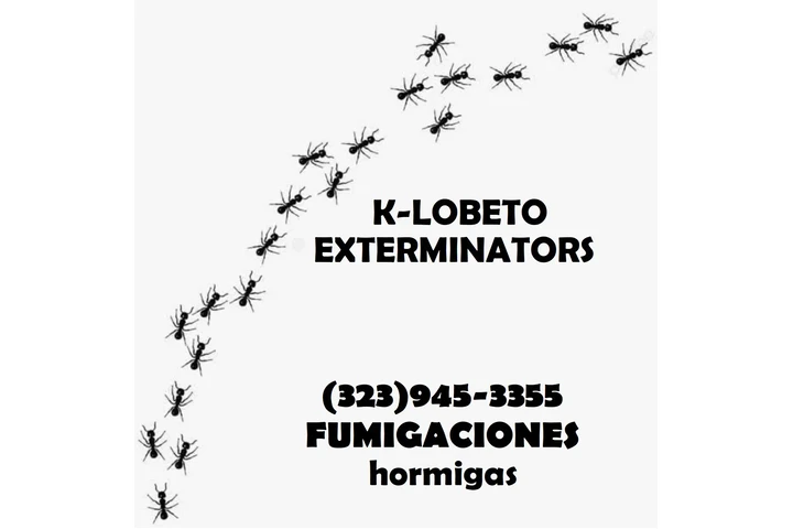 FUMIGACIONES COMERCIALES 24/7. image 7