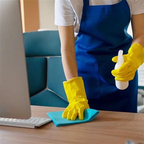 Leanis Pro Cleaning Company image 4