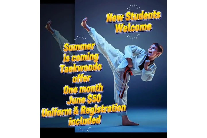 TAEKWONDO KOREAN MARTIAL ARTS image 1