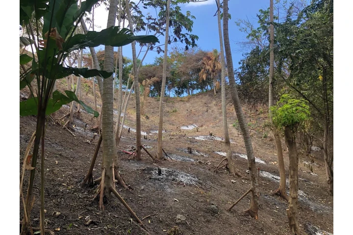 $550000000 : Terreno en venta Santa Marta image 4