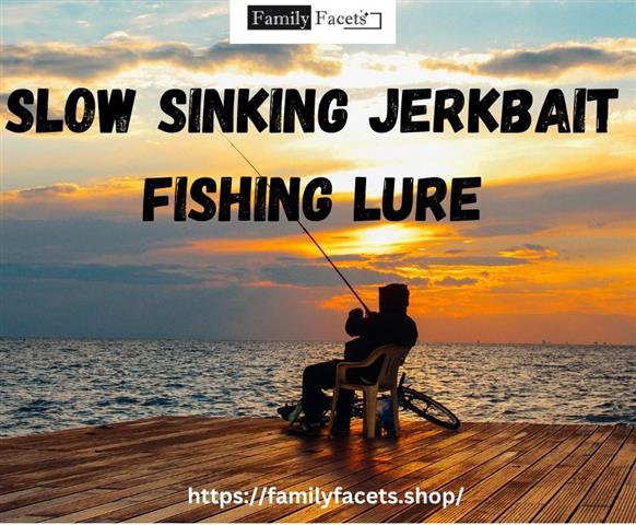 $11 : Sinking Jerkbait image 1