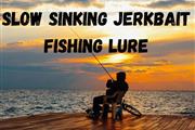 Sinking Jerkbait