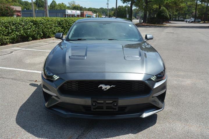 2018 Mustang EcoBoost image 3