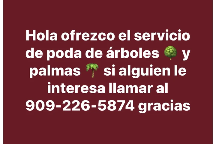 🌳🪵TREE SERVICE🌴🪾 image 1