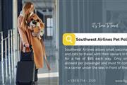 SouthWest Airlines Pet Policy en Orlando