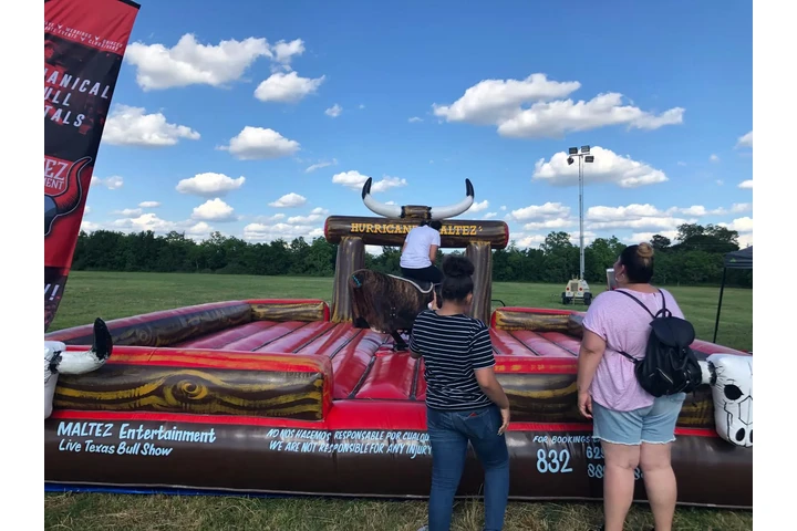 Maltez Entertainment image 4