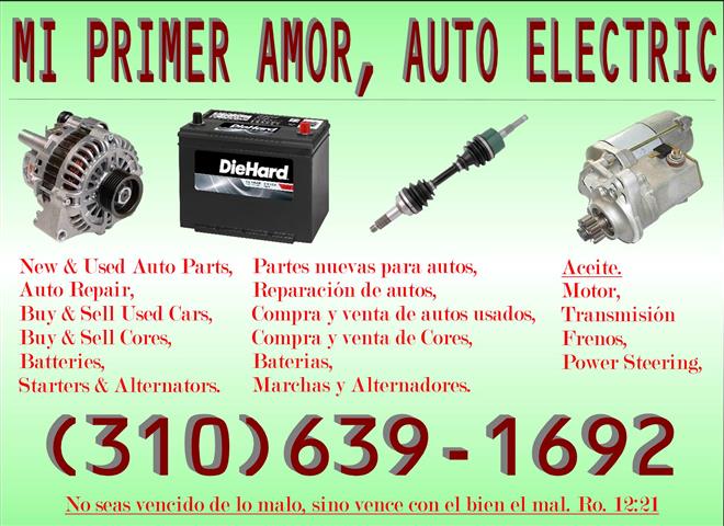 Mi Primer Amor Auto Electric image 2
