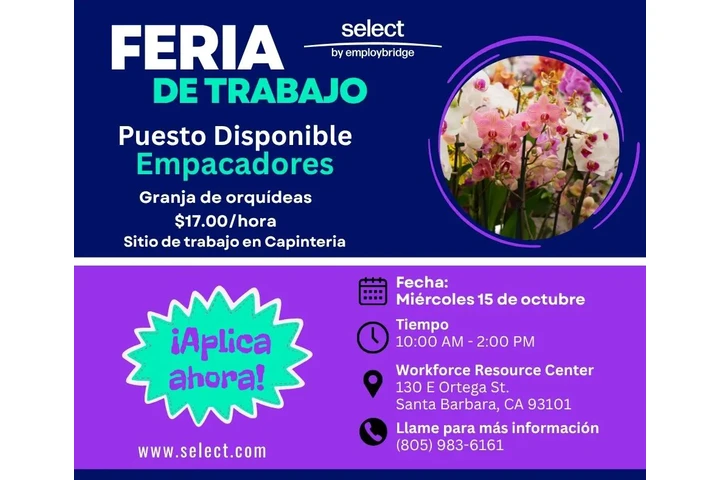 JOB FAIR image 1