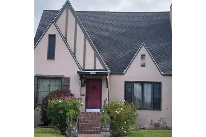 Professional Roofing Services image 3