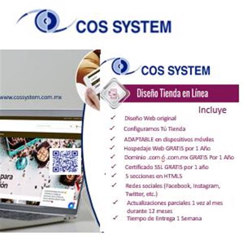 cossystem image 5
