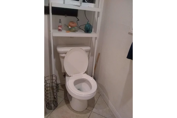 En general plom image 1