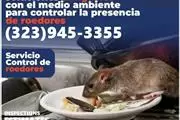 FUMIGACIONES SANTA MONICA .- thumbnail