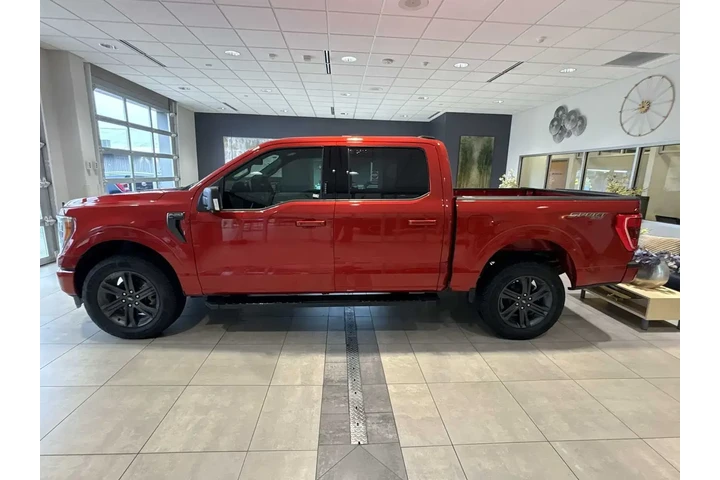 $37972 : Ford F-150 2023 4x4 XLT 4dr image 6