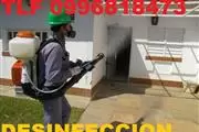 FUMIGACIONES TELF 0996818473 en Quito