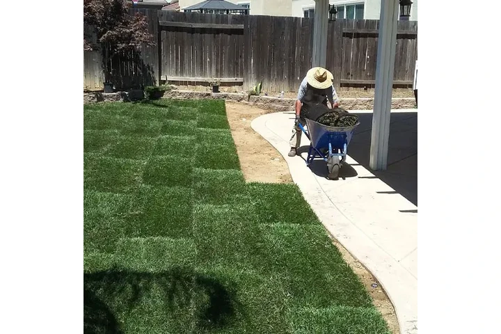 SERVICIO DE JARDINERÍA image 3