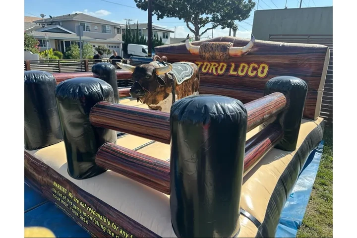 JUMPERS/ RENTA DE CARPAS image 9