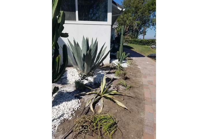 Tree Service and Maintenance image 10